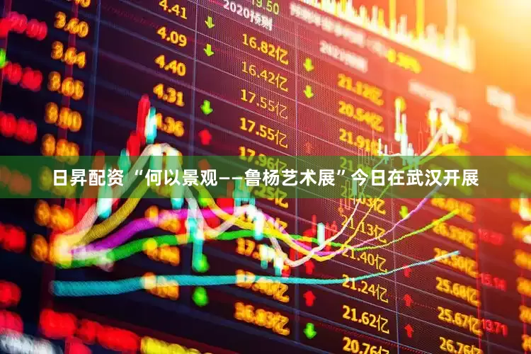 日昇配资 “何以景观——鲁杨艺术展”今日在武汉开展