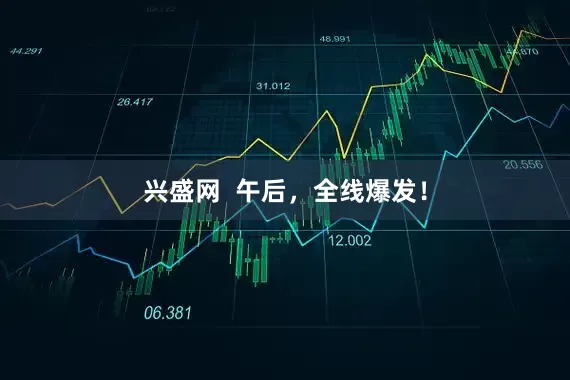 兴盛网  午后，全线爆发！