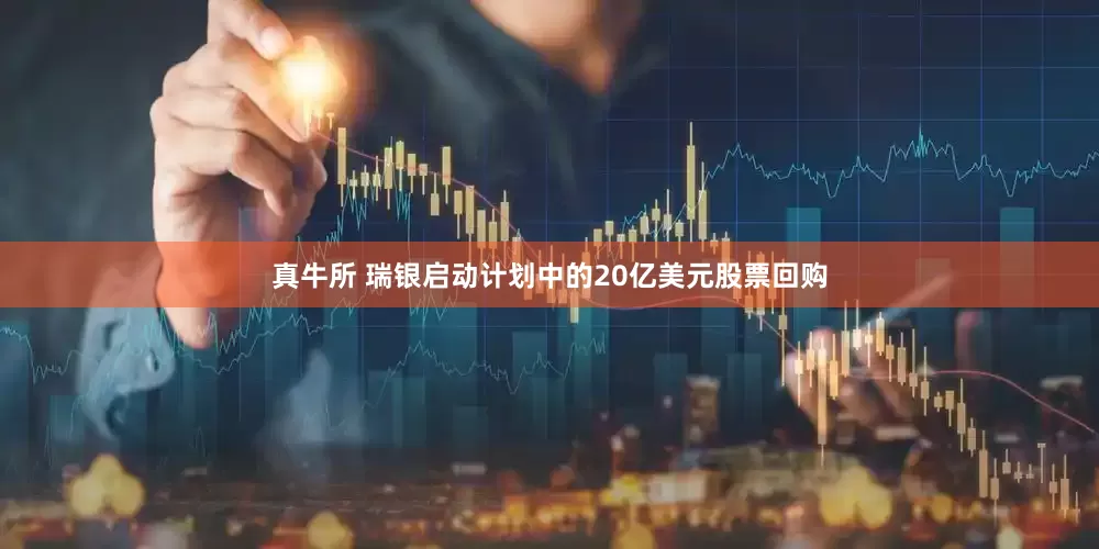 真牛所 瑞银启动计划中的20亿美元股票回购