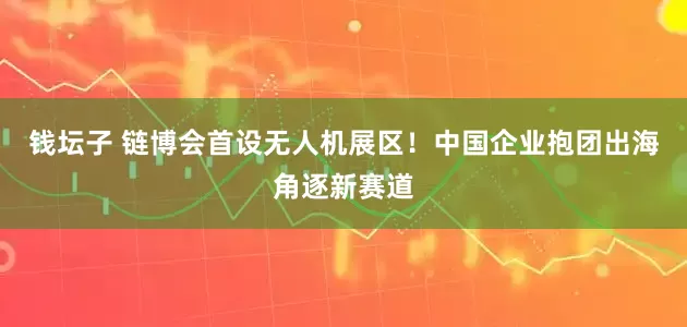 钱坛子 链博会首设无人机展区！中国企业抱团出海角逐新赛道