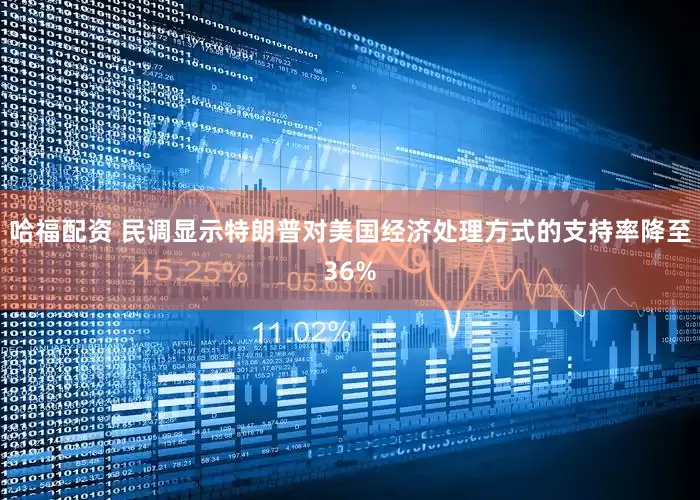 哈福配资 民调显示特朗普对美国经济处理方式的支持率降至36%