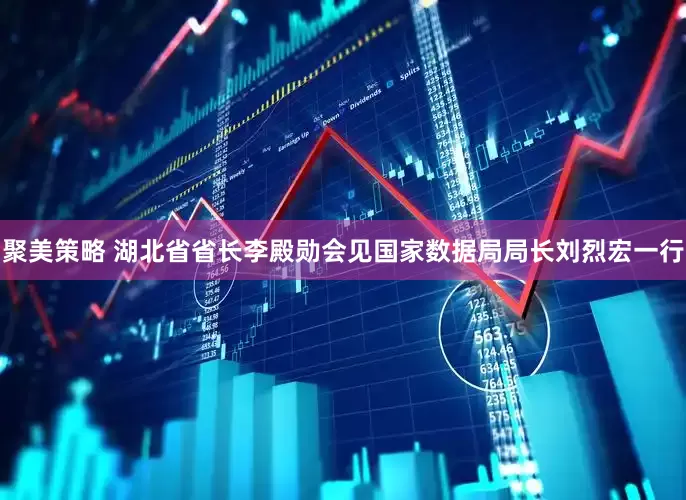聚美策略 湖北省省长李殿勋会见国家数据局局长刘烈宏一行